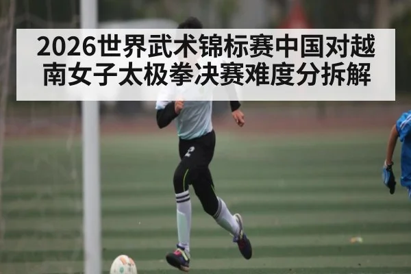 2026世界武术锦标赛中国对越南女子太极拳决赛难度分拆解